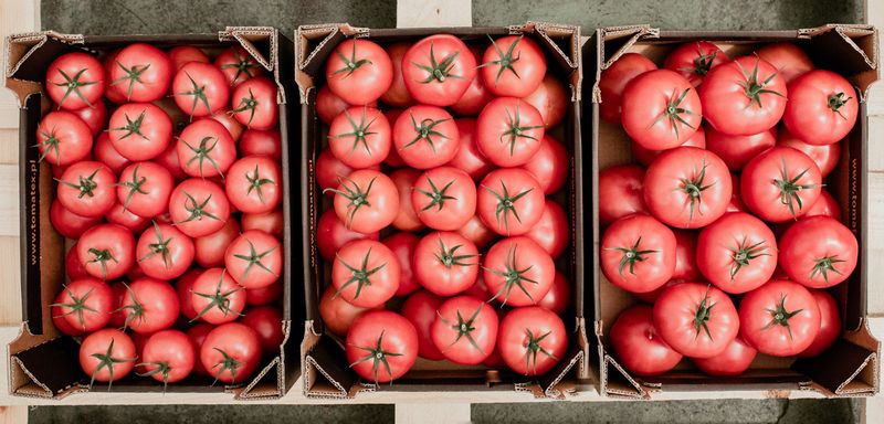 Pomidory w koszyku
